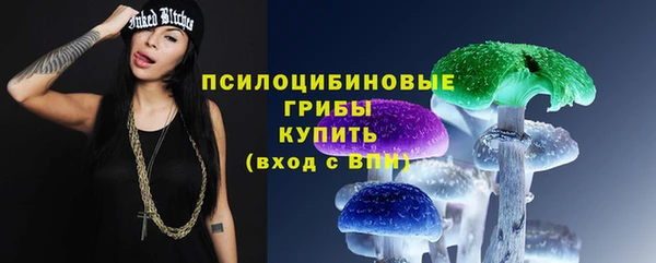 метадон Алексеевка
