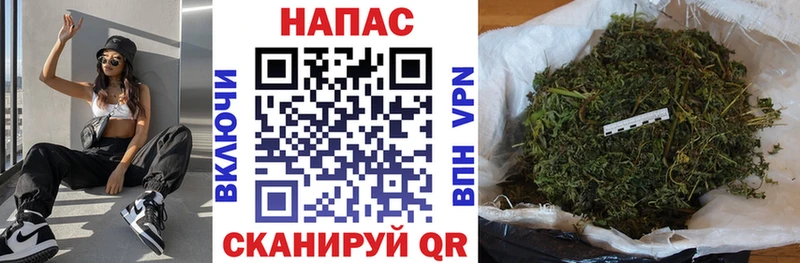 Марихуана семена как найти закладки Болотное